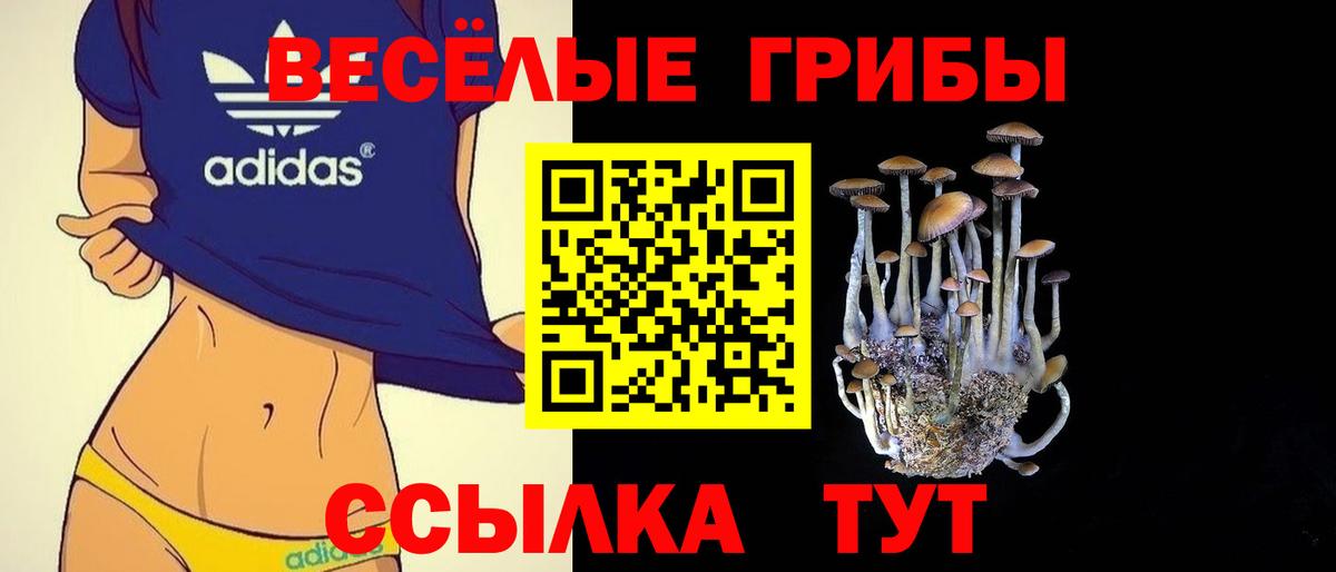 Галлюциногенные грибы мухоморы Дзержинский