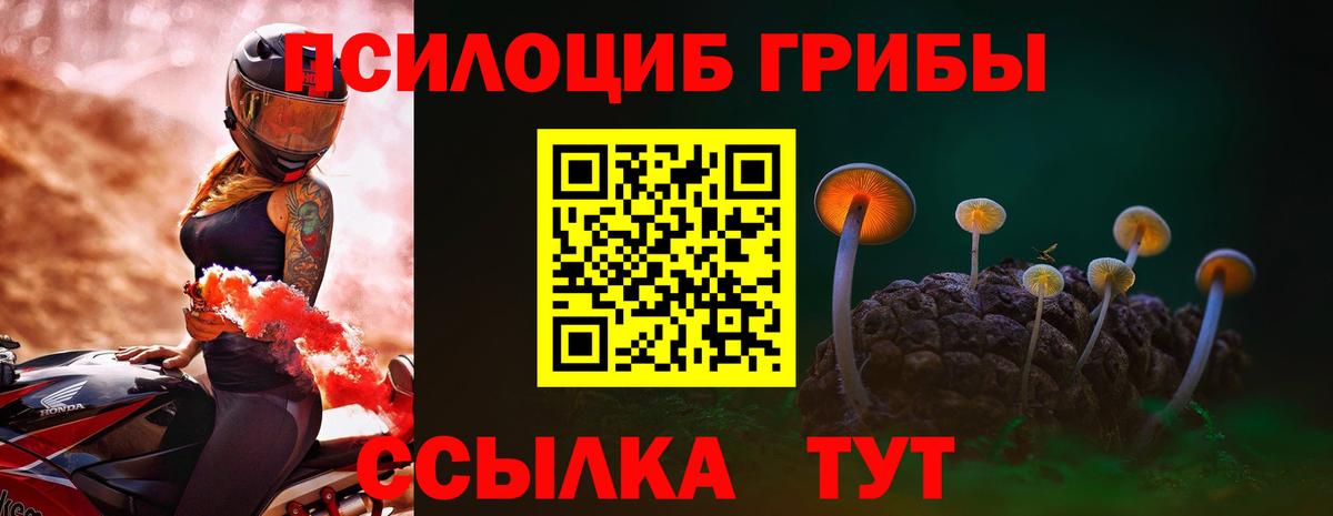 Дзержинский  Галлюциногенные грибы ЛСД  Вход с VPN 